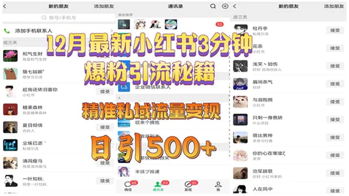 （13653期）12月最新小红书3分钟爆粉引流秘籍 精准私域流量变现 日引500+-副业网