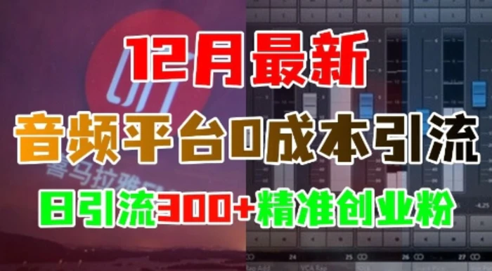 12月最新：音频平台0成本引流，日引流300+精准创业粉-副业城