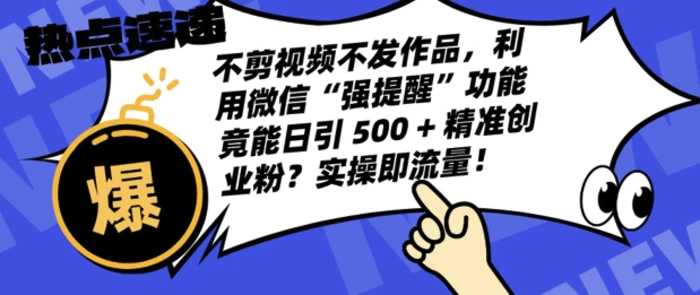 不剪视频不发作品,视频号私信日引 500 + 精准创业粉?实操即流量!-副业网