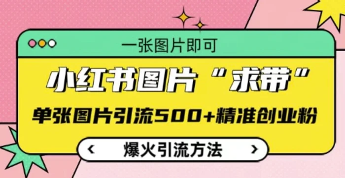 小红书图片‘求带’爆火引流法，单张图片引流500+精准创业粉【揭秘】-副业城