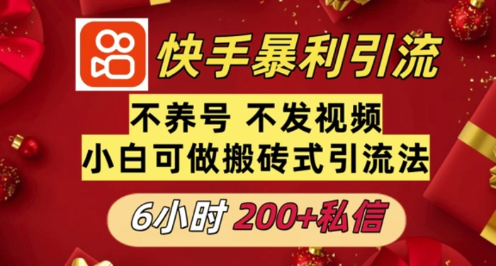 利用快手平台6小时不到200+私信，不发视频不养号-副业城