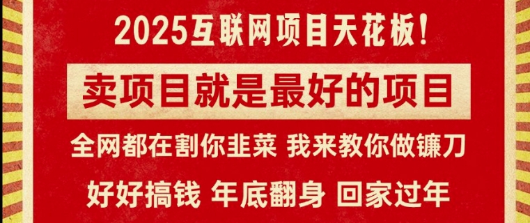 卖项目就是最好的项目，2025年互联网项目天花板-副业城