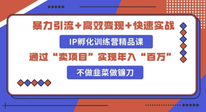 知识付费独家玩法：精准引流+高效变现，简单复制成功模式，最新IP共创导师训练营玩法-副业网