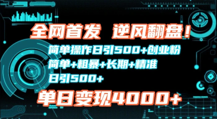 全网首发，简单操作日引500+创业粉，简单+粗暴+长期+精准-副业城