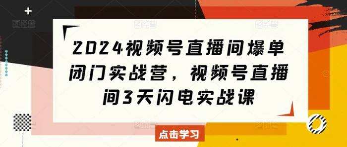 2024视频号直播间爆单闭门实战营，视频号直播间3天闪电实战课-副业城