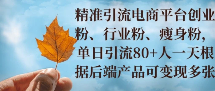 小投资撬动大收益，精准引流创业粉、行业粉，单日引流80+，一天可变现多张-副业城