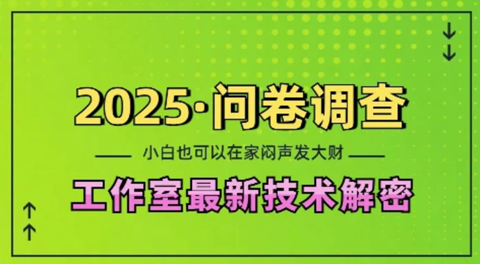 2025问卷调查最新工作室技术解密：一个人在家也可以闷声发大财，小白一天2张，可矩阵放大-副业城