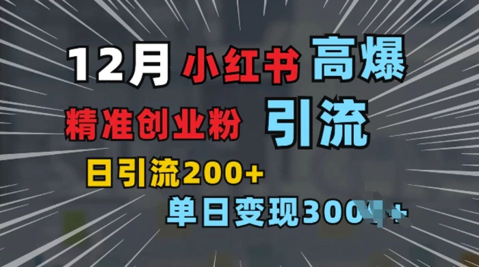 小红书一张图片“引爆”创业粉，单日+200+精准创业粉 可筛选付费意识创业粉-副业网