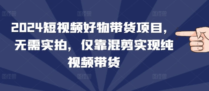2024短视频好物带货项目，无需实拍，仅靠混剪实现纯视频带货-副业城