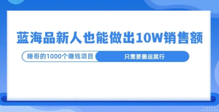 这个蓝海品，新号也能卖出10W的销售额，年底疯狂怼量就能出结果-副业网