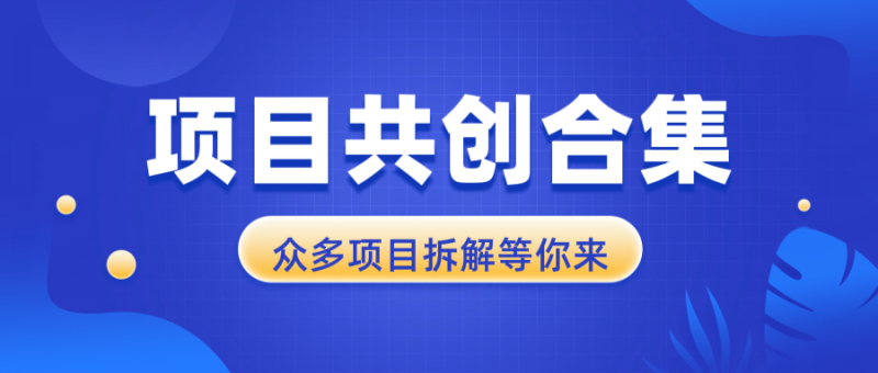 （13778期）项目共创合集，从0-1全过程拆解，让你迅速找到适合自已的项目-副业网
