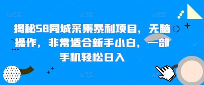 揭秘58同城采集暴利项目，无脑操作，非常适合新手小白，一部手机轻松日入-副业城