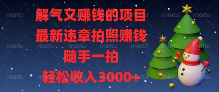 （13804期）解气又赚钱的项目，最新违章拍照赚钱，随手一拍，轻松收入3000+-副业城