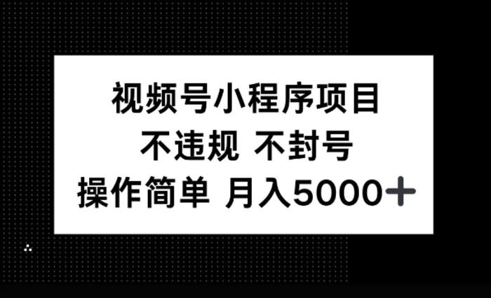 视频号小程序项目，不违规不封号，操作简单 月入5000+-副业城