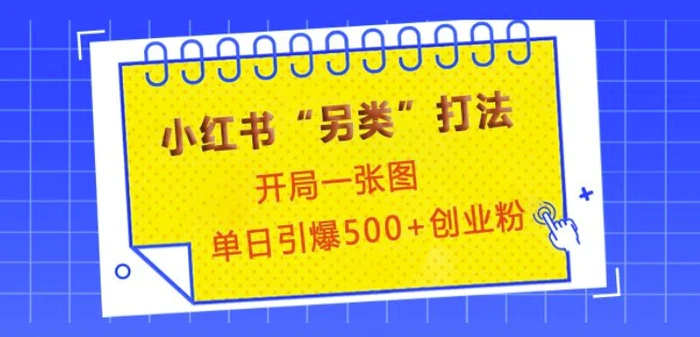 小红书“另类”打法，开局一张图，单日引爆500+精准创业粉【揭秘】-副业城