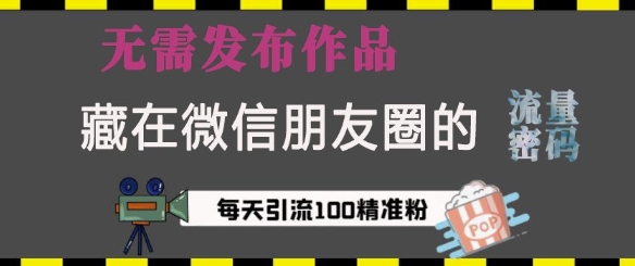 藏在微信朋友圈的流量密码，无需发布作品，单日引流100+精准创业粉-副业网