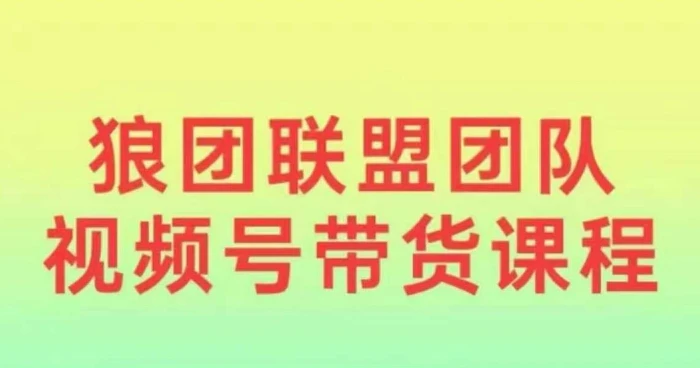 狼团联盟2024视频号带货，0基础小白快速入局视频号-副业城