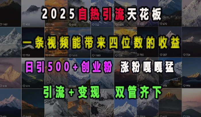 2025自热引流天花板，一条视频能带来四位数的收益，引流+变现双管齐下，日引500+创业粉，涨粉嘎嘎猛-副业城