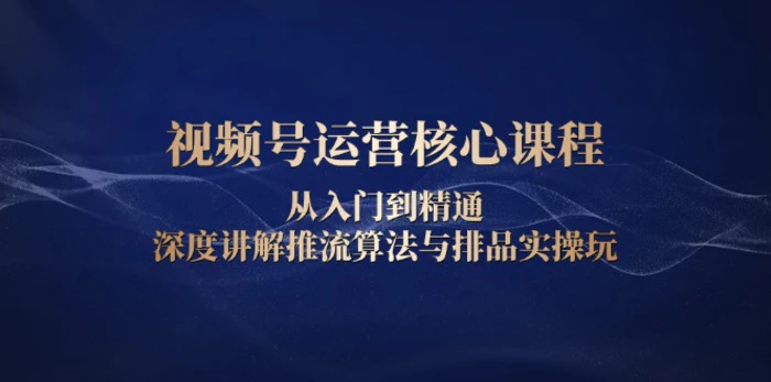 （13863期）视频号运营核心课程，从入门到精通，深度讲解推流算法与排品实操玩-副业网