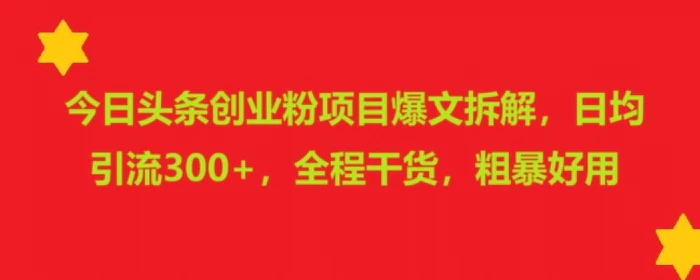今日头条创业粉项目爆文拆解，日均引流300+，全程干货，粗暴好用-副业网