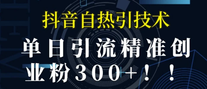 抖音自热引流,单日引流精准创业粉300+-副业网