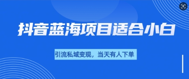 抖音蓝海小赛道私域变现项目，单价9.9单天变现100+，实操玩法分享给你-副业城