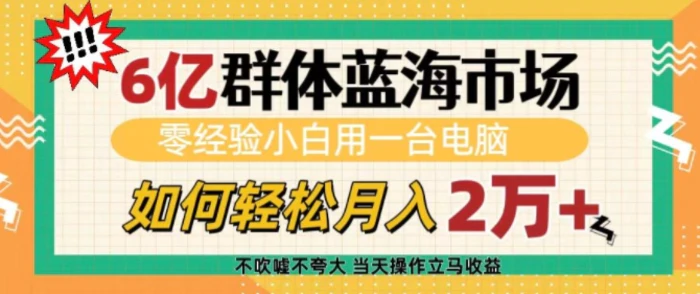 6亿群体蓝海市场，零经验小白用一台电脑，如何轻松月入过w-副业城