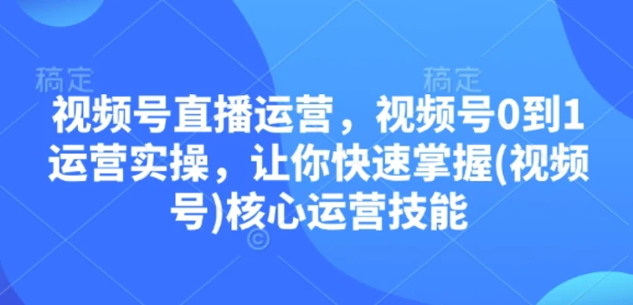 视频号直播运营，视频号0到1运营实操，让你快速掌握(视频号)核心运营技能-副业城