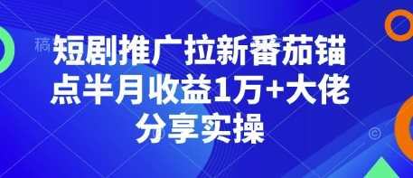 短剧推广拉新番茄锚点半月收益1万+大佬分享实操-副业城