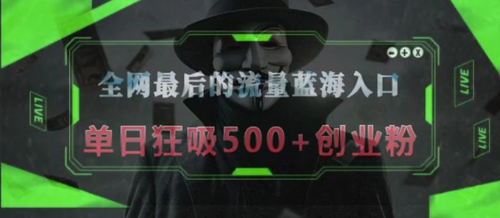 全网最后的流量蓝海入口，半小时引流50+创业粉，单日狂吸500+创业粉-副业城