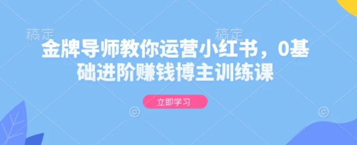 金牌导师教你运营小红书，0基础进阶赚钱博主训练课-副业网