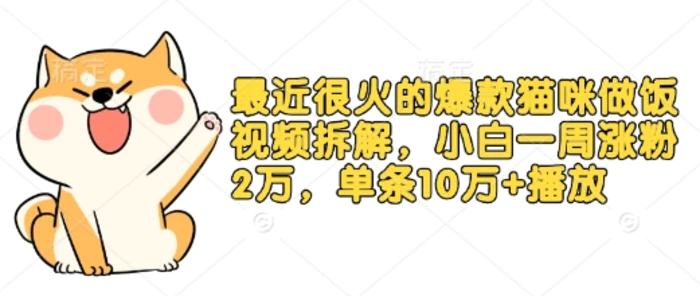 最近很火的爆款猫咪做饭视频拆解，小白一周涨粉2万，单条10万+播放(附保姆级教程)-副业城