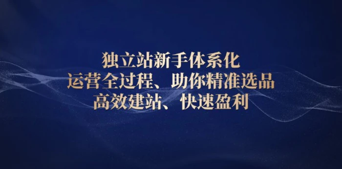 （13914期）独立站新手体系化 运营全过程，助你精准选品、高效建站、快速盈利-副业网