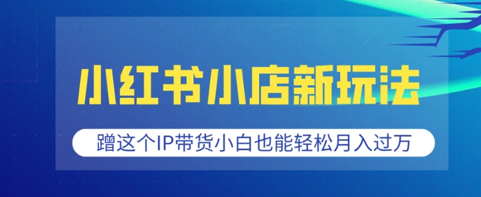 小红书小店新玩法，蹭这个IP带货，小白也能轻松月入过W【揭秘】-副业网