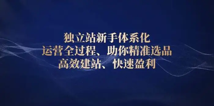 独立站新手体系化 运营全过程，助你精准选品、高效建站、快速盈利-副业城