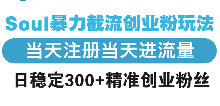 （13935期）Soul暴力截流创业粉玩法，当天注册当天进流量，日稳定300+精准创业粉丝-副业网