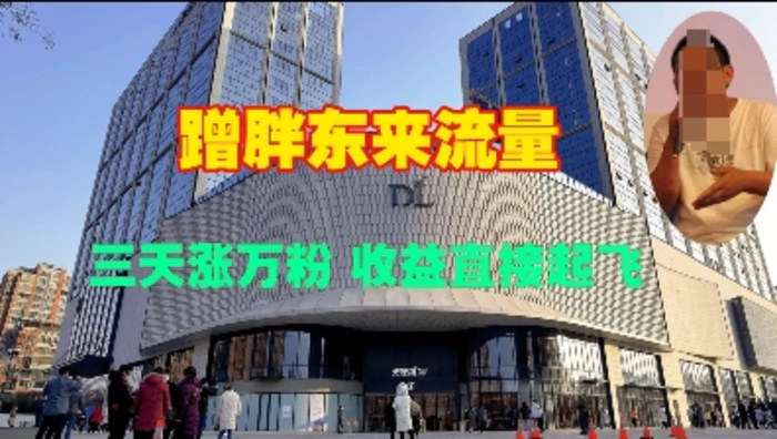 蹭胖东来流量，三天涨万粉，收益直接起飞-副业网