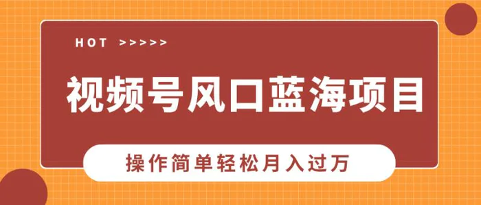 视频号风口蓝海项目，中老年人的流量密码，操作简单轻松月入过W-副业网