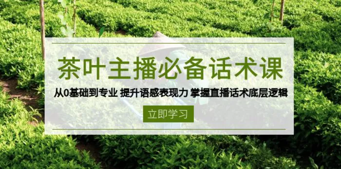 （13961期）茶叶 主播必备话术课 从0基础到专业 提升语感表现力 掌握直播话术底层逻辑-副业网