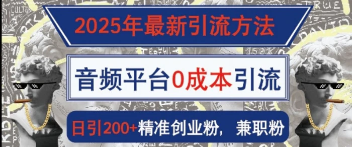 2025年最新引流方法，音频平台0成本引流，日引200+精准创业粉-副业网