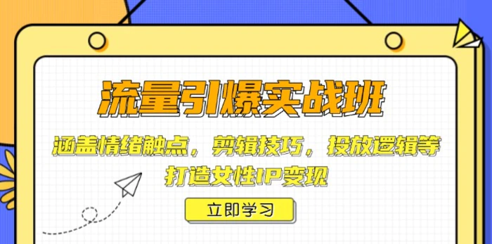 （14008期）流量引爆实战班，涵盖情绪触点，剪辑技巧，投放逻辑等，打造女性IP变现-副业网