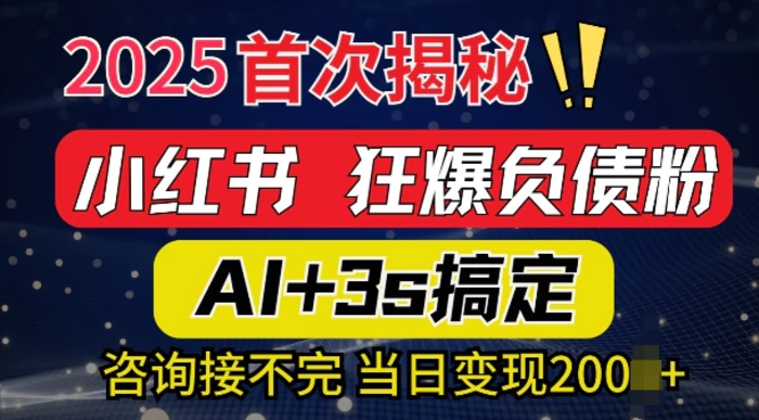 2025引流天花板：最新小红书狂暴负债粉思路，咨询接不断，当日入多张-副业城