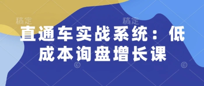 直通车实战系统：低成本询盘增长课，让个人通过技能实现升职加薪，让企业低成本获客，订单源源不断-副业城