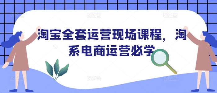 淘宝全套运营现场课程，淘系电商运营必学-副业城