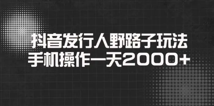 （14068期）抖音发行人野路子玩法，手机操作一天2000+-副业城