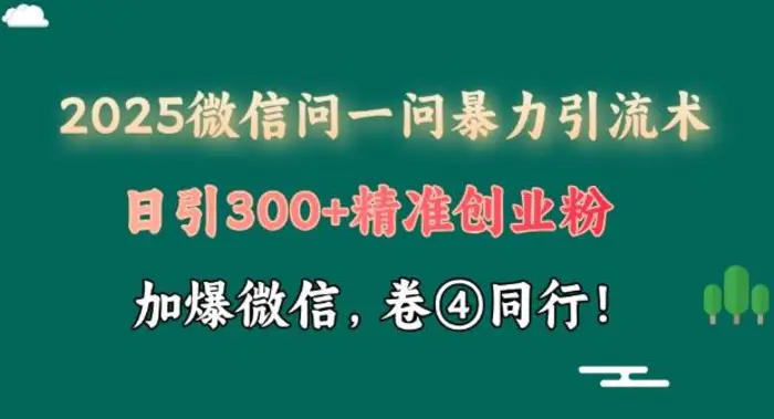 2025最新微信问一问暴力引流术揭秘，日引300+创业粉，单日变现四位数-副业城