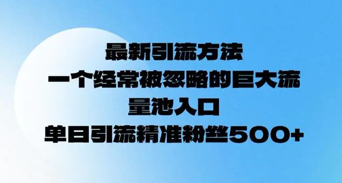 最新引流方法，一个经常被忽略的巨大流量池入口，单日精准引流粉丝500-副业网