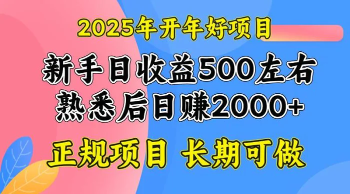 （14076期）2025开年好项目，单号日收益2000左右-副业城