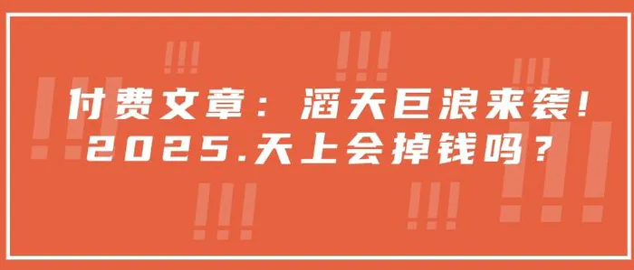 付费文章：滔天巨浪来袭！2025天上会掉钱吗？-副业城