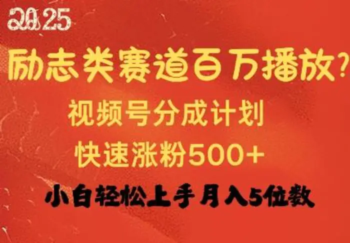 励志类赛道也能百万播放，快速涨粉500+视频号变现月入过W-副业城